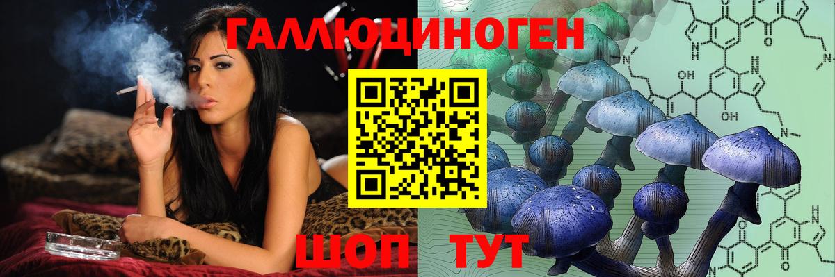 Галлюциногенные грибы Psilocybine cubensis Светлоград